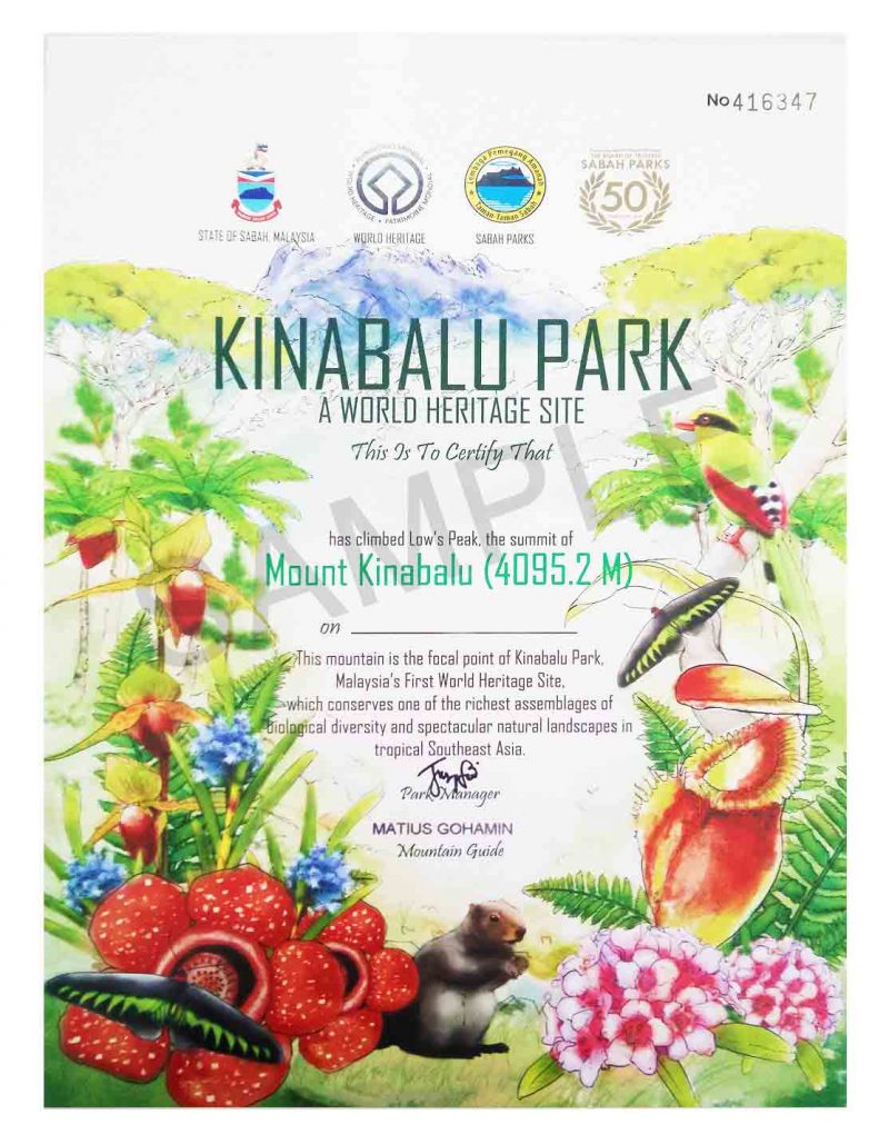 Climb Certificates Borneo Calling