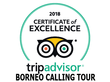 TripAdvisor 2018 Certificate of Excellence