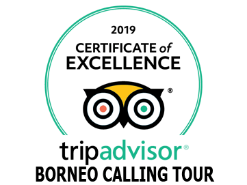 TripAdvisor 2019 Certificate of Excellence