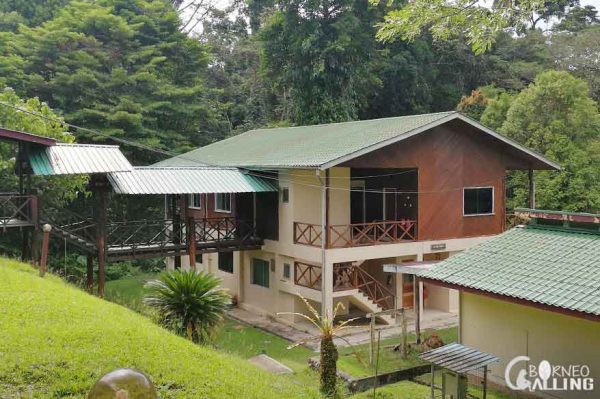 Experience the Incredible DANUM VALLEY FIELD CENTRE: 3D2N Wildlife Tour