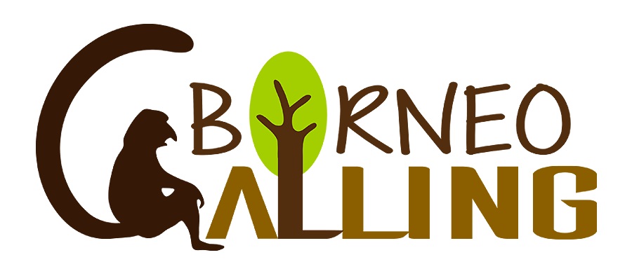 Borneo Tours Borneo Travel Packages Borneo Tour Operator Borneocalling